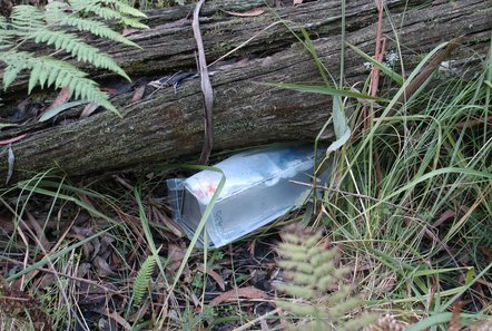 Elliott (Box) Trapping