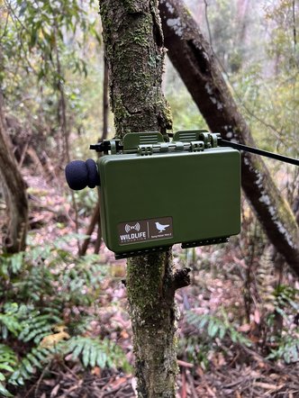 Autonomous Recording Units (ARUs)