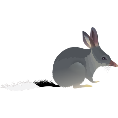 Bilby