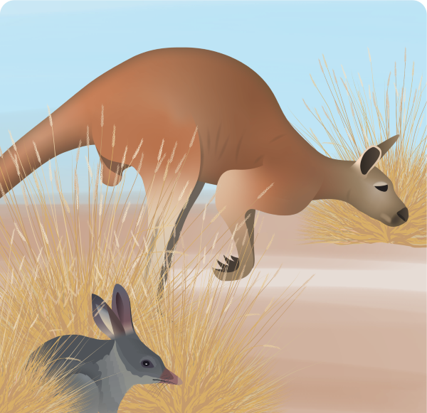 Things we care about